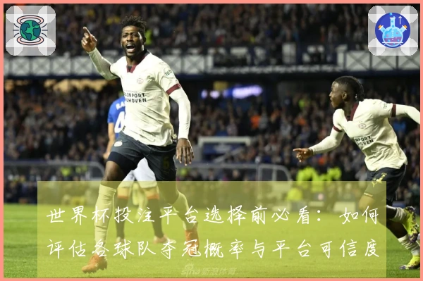 世界杯投注平台选择前必看：如何评估各球队夺冠概率与平台可信度