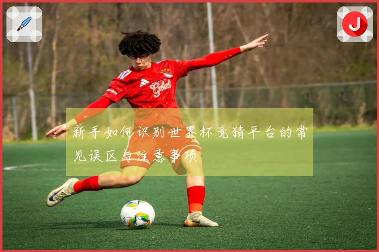 新手如何识别世界杯竞猜平台的常见误区与注意事项