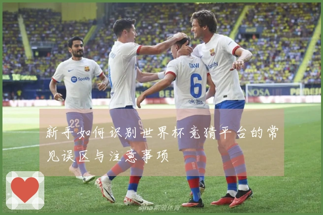 新手如何识别世界杯竞猜平台的常见误区与注意事项